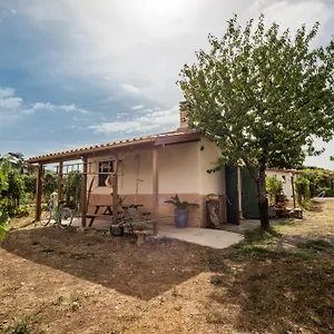 Un' Ottima Annata - La Casa Nel Vigneto Casa vacanze Monte Porzio Catone